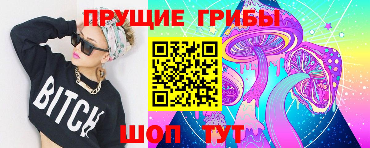 Псилоцибиновые грибы Psilocybe  Галлюциногенные грибы GOLDEN TEACHER  Карасук  Вход с VPN 